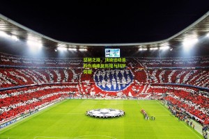 ng体育app：坚韧之路，顶级运动员的伤病康复历程与科学突破