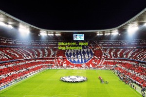 ng体育_深度战术分析，揭秘冠军球队的制胜密码